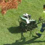 Lawn Aeration