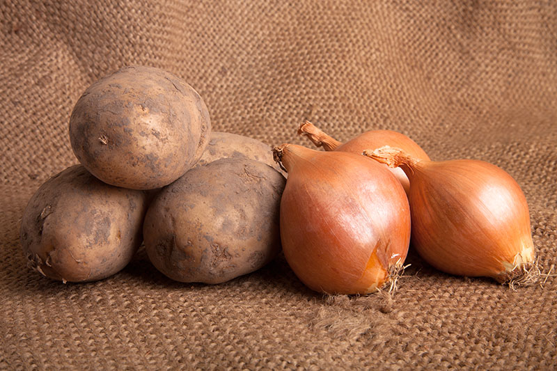 How To Grow Onions and Potatoes