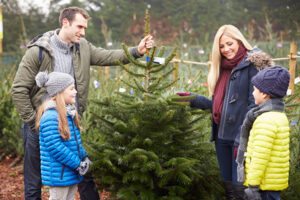 Family buying Christmas Trees Together