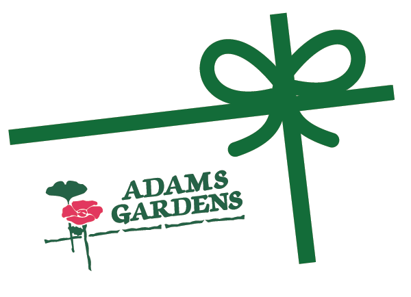 Adams Garden Gift Card
