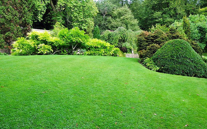How to Prepare Your Lawn and Garden for the Fall and Winter