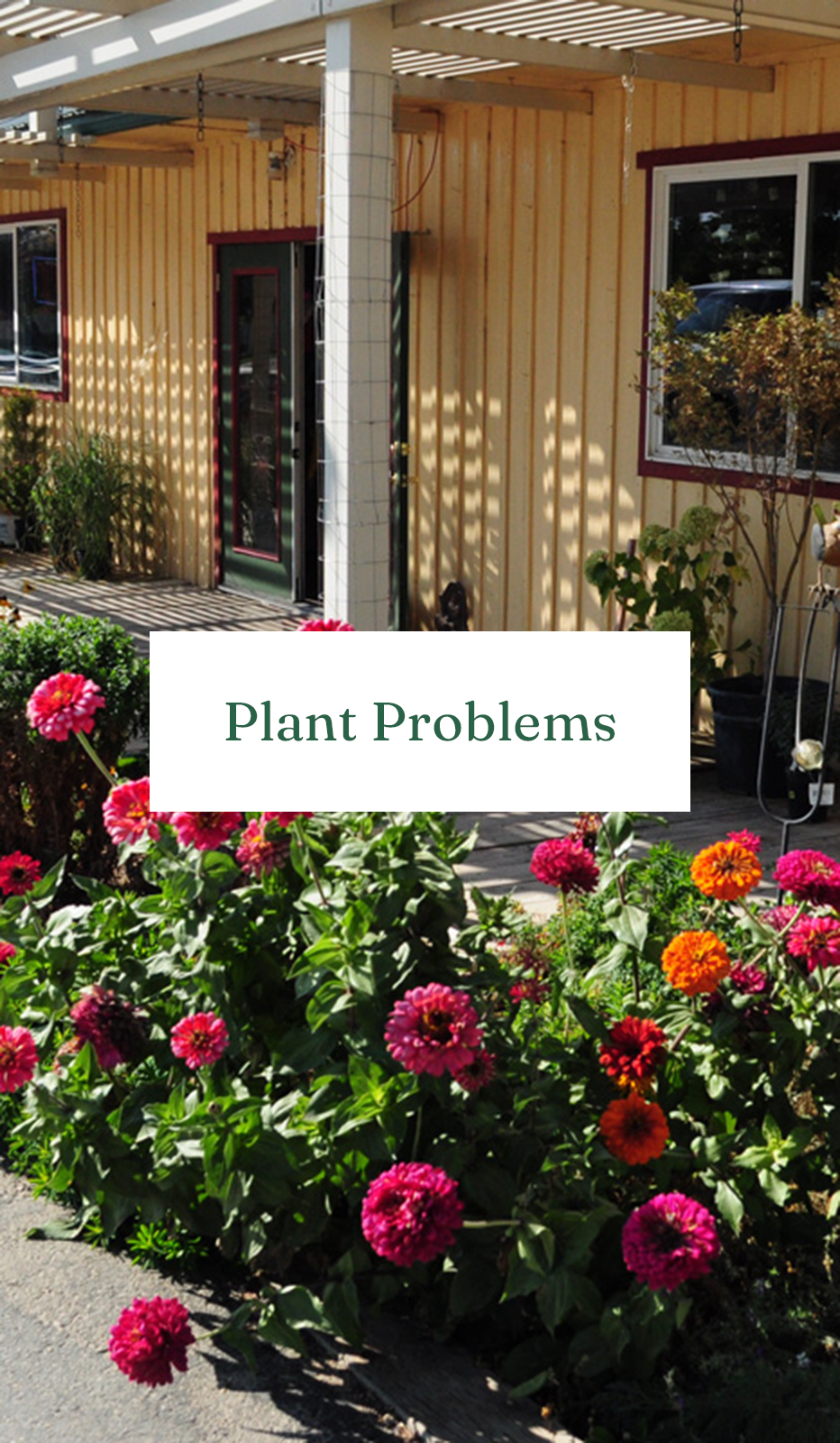 Plant Problems Mobile