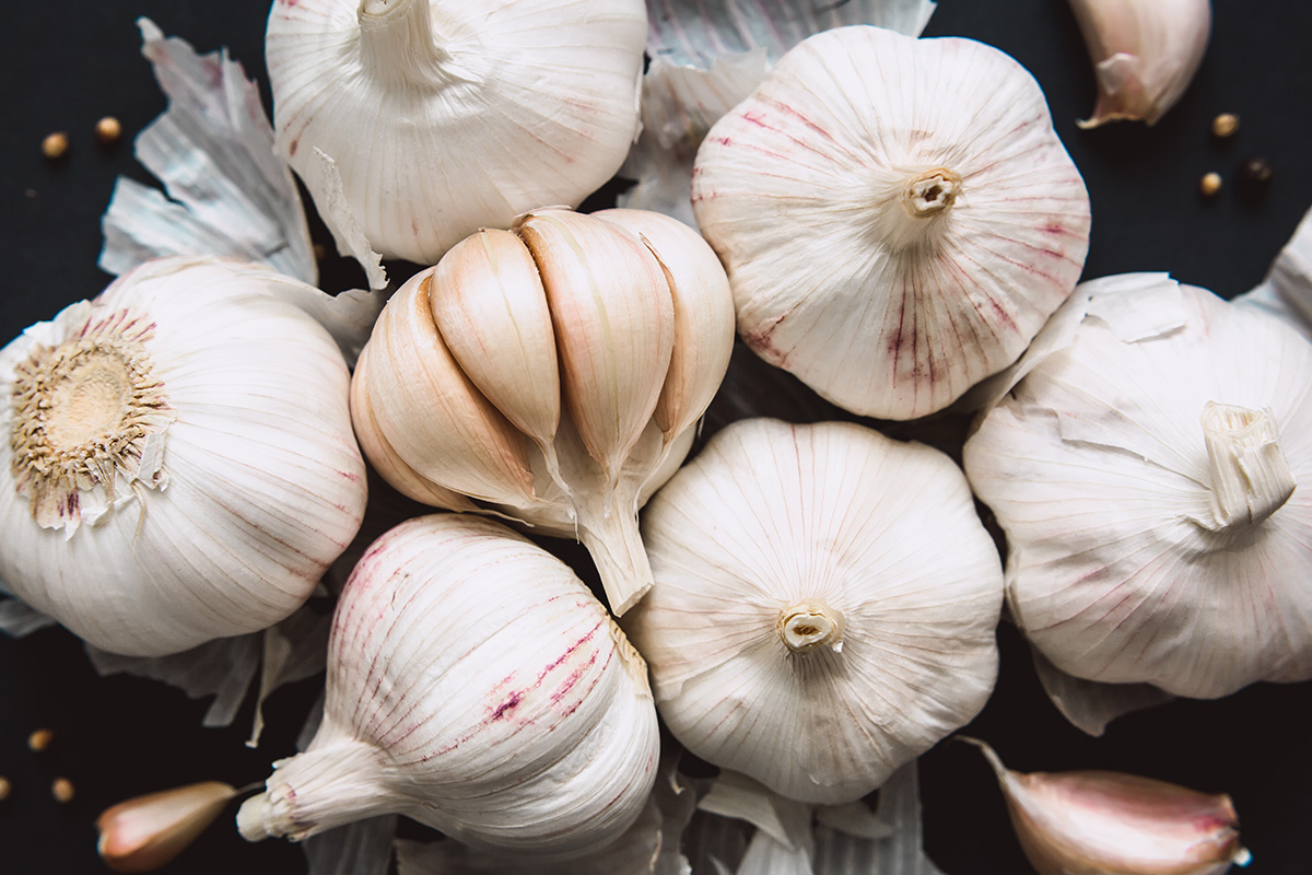 Fullwidth image of Garlic