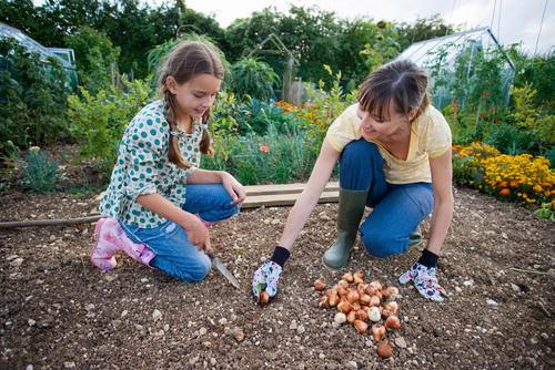 Horizontal,Shot,Of,A,Happy,Mother,And,Daughter,Planting,Bulbs