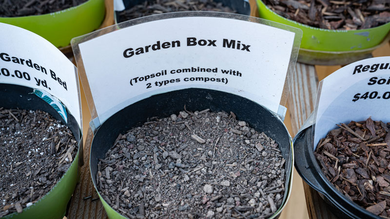 Garden-Box-Mix-Evergreen