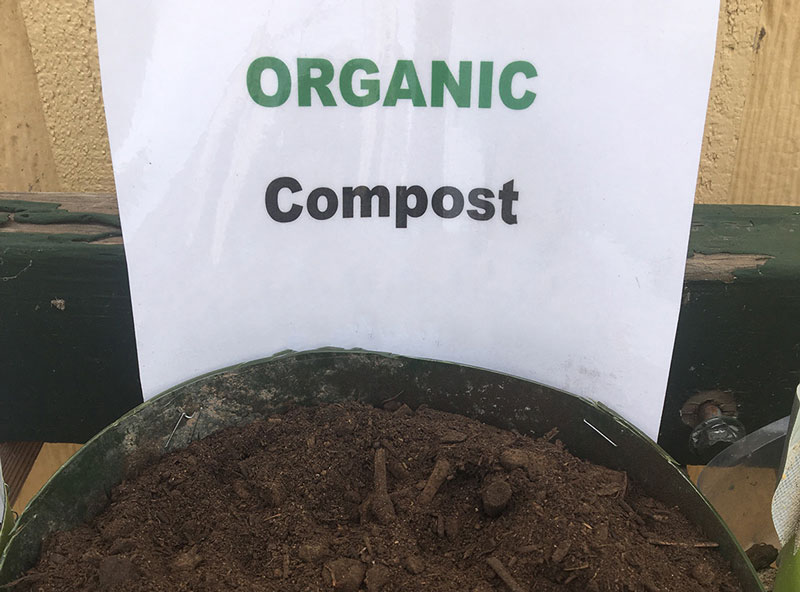 Organic-Compost-Evergreen