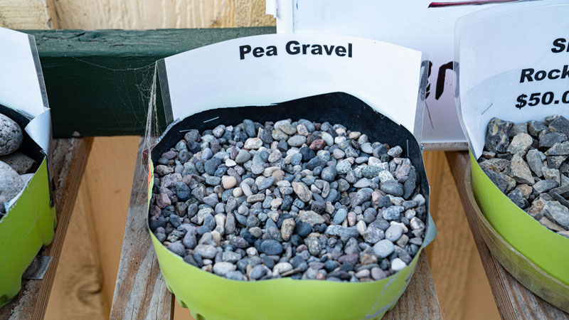 Pea-Gravel-evergreen