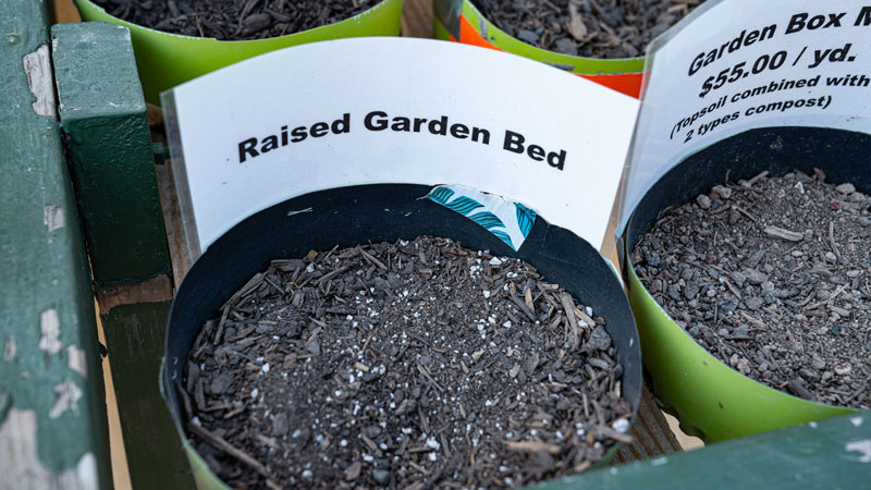 Raised-Garden-Bed-Evergreen
