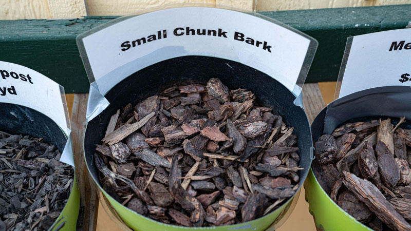 Small-Chunk-Bark-evergreen