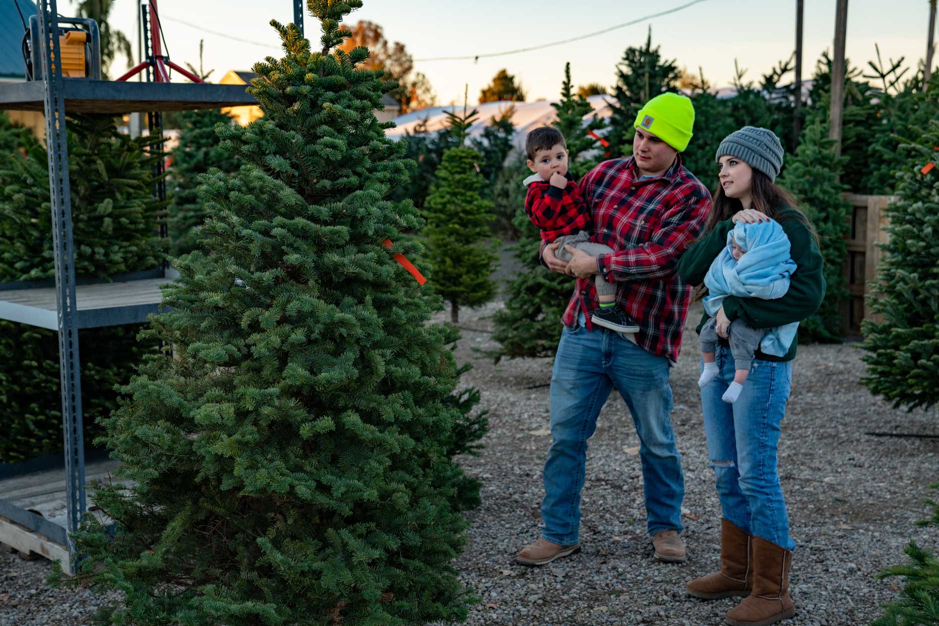Christmas trees in Nampa Idaho