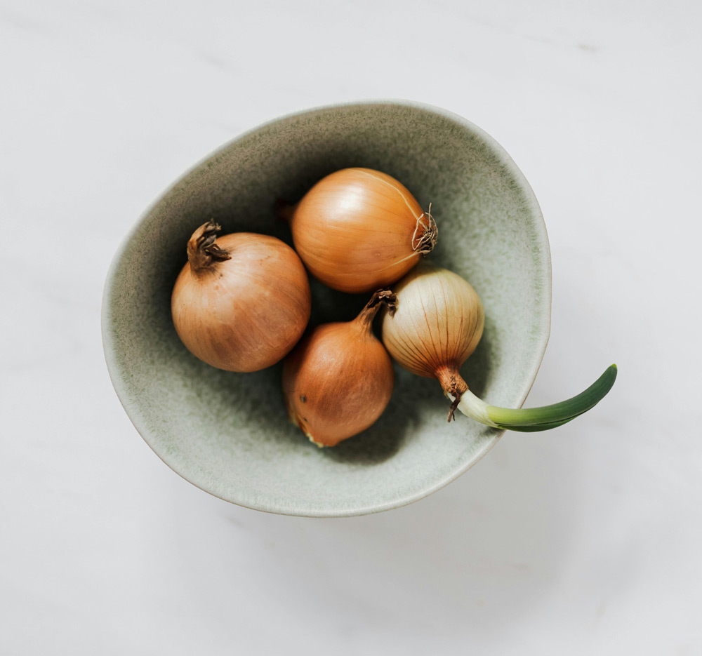 Onion sets at Adams Gardens in March