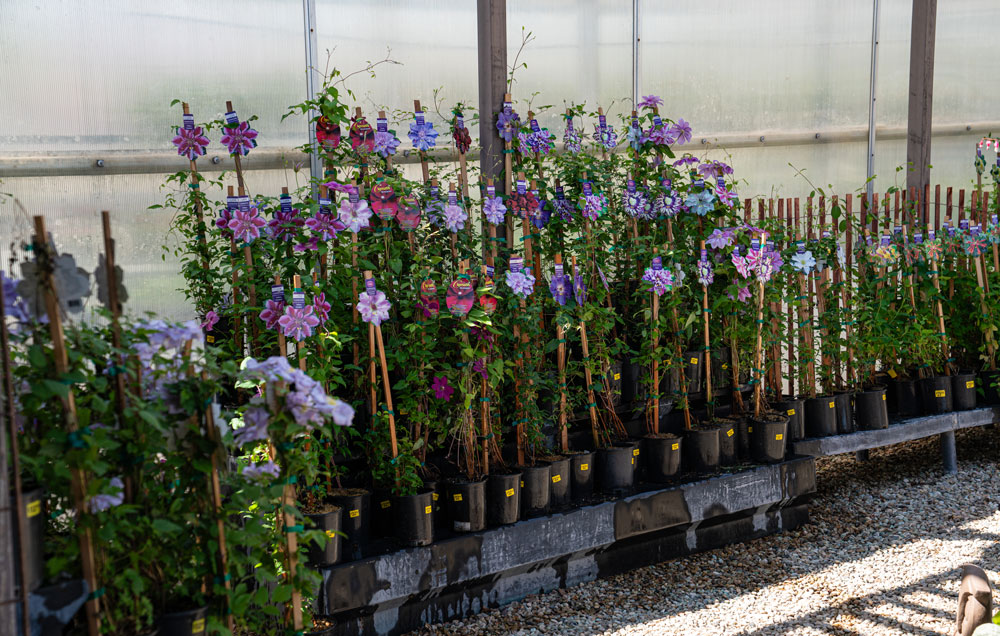 Fall Sale at Adams Gardens in Nampa, Idaho