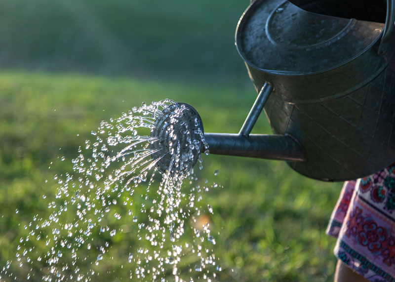 Watering plants in Fall at Adams Gardens in Nampa, Idaho