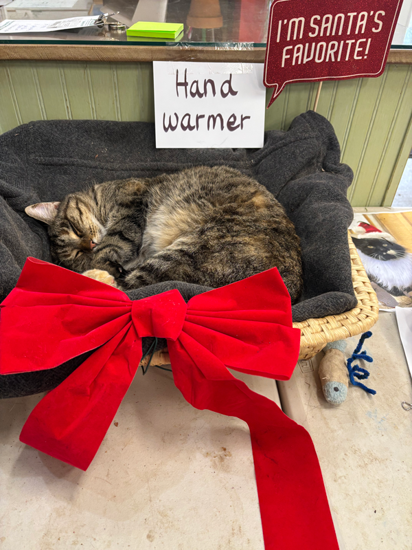 Lucy the Cat hand warmer at Adams Gardens in Nampa, Idaho