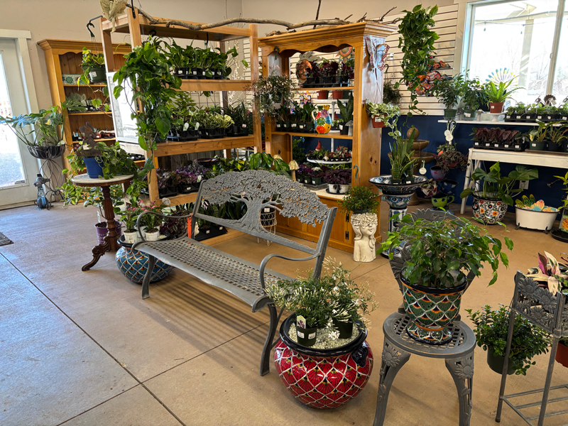 Houseplants at Adams Gardens in Nampa, Idaho