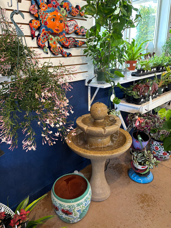 Houseplant Variety at Adams Gardens in Nampa, Idaho