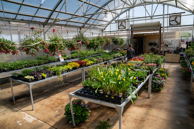 Greenhouse at Adams Gardens in Nampa, Idaho