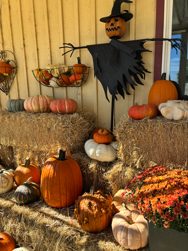 Pumpkins and straw bales at Adams Gardens in Nampa, Idaho